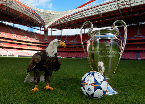 跟队记者：尤文仍在重点关注迈尼昂，球员的续约谈判陷入停滞（跟队记者：尤文持续关注迈尼昂，球员续约谈判已停摆）